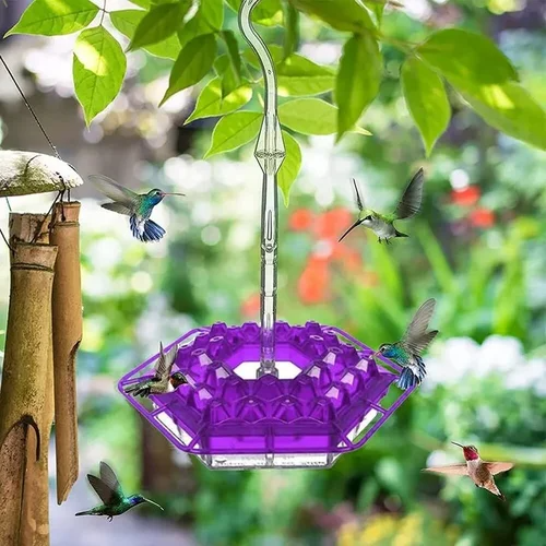 Olygee Sweety Hummingbird Feeder